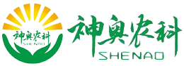 头玩pc版